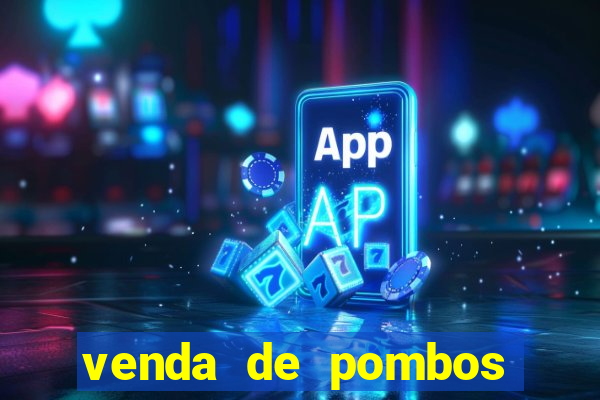 venda de pombos correios olx